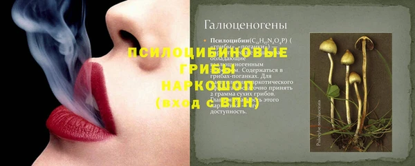 стафф Волосово