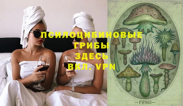 ALPHA PVP Володарск